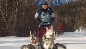 Dog Sledding in Fernie