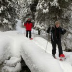 Snowshoeing in Fernie