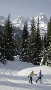 Cross-Country Skiing in Fernie