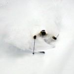 Powder Skiing in Fernie
